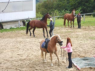 Der Reitplatz in Langenbach