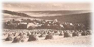 Getreidehausten auf dem Feld vorm Rohnstdter Steinchen