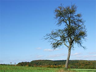 Gilling im Oktober 2007