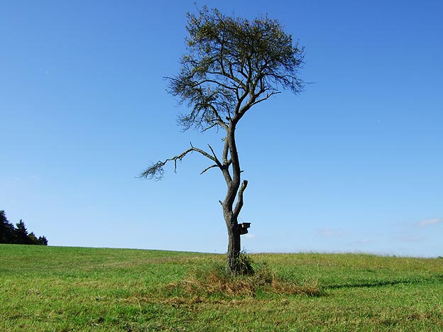 Gilling im Oktober 2007