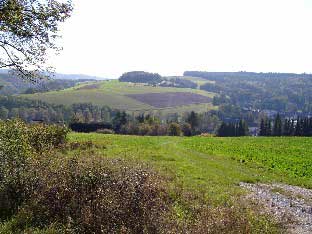 Haagkppel von der Linde am Rohnstdter Weg aus