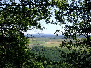 Blick in den Taunus