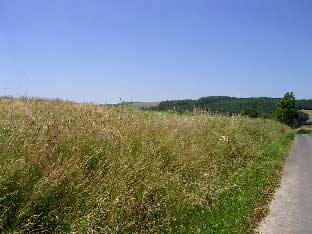 Hhnerkppel und Stockert