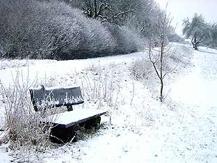 Winter am Haagkppel