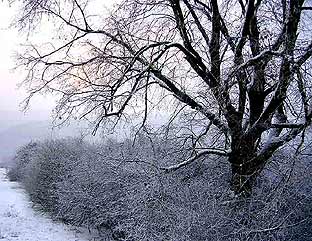 Winter am Haagkppel