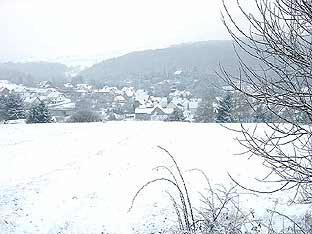 Blick nach Langenbach vom Haagkppel