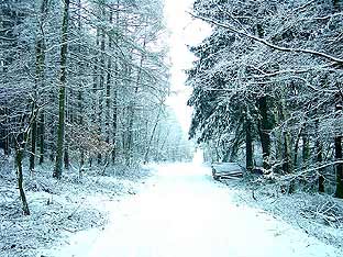 Winter am Haagkppel