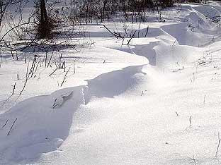 Schneewehen am Haagkppel