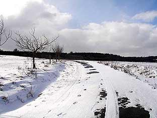 Winterweg am Haagköppel