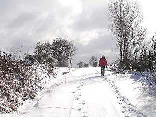 Winterweg am Haagkppel