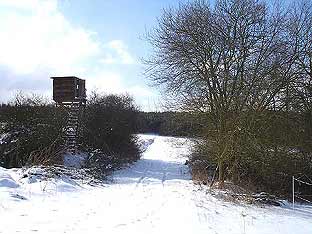 Winterweg am Haagkppel