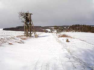 Winterweg am Haagkppel