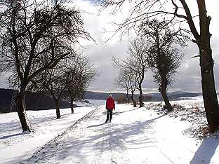 Winterweg am Haagkppel